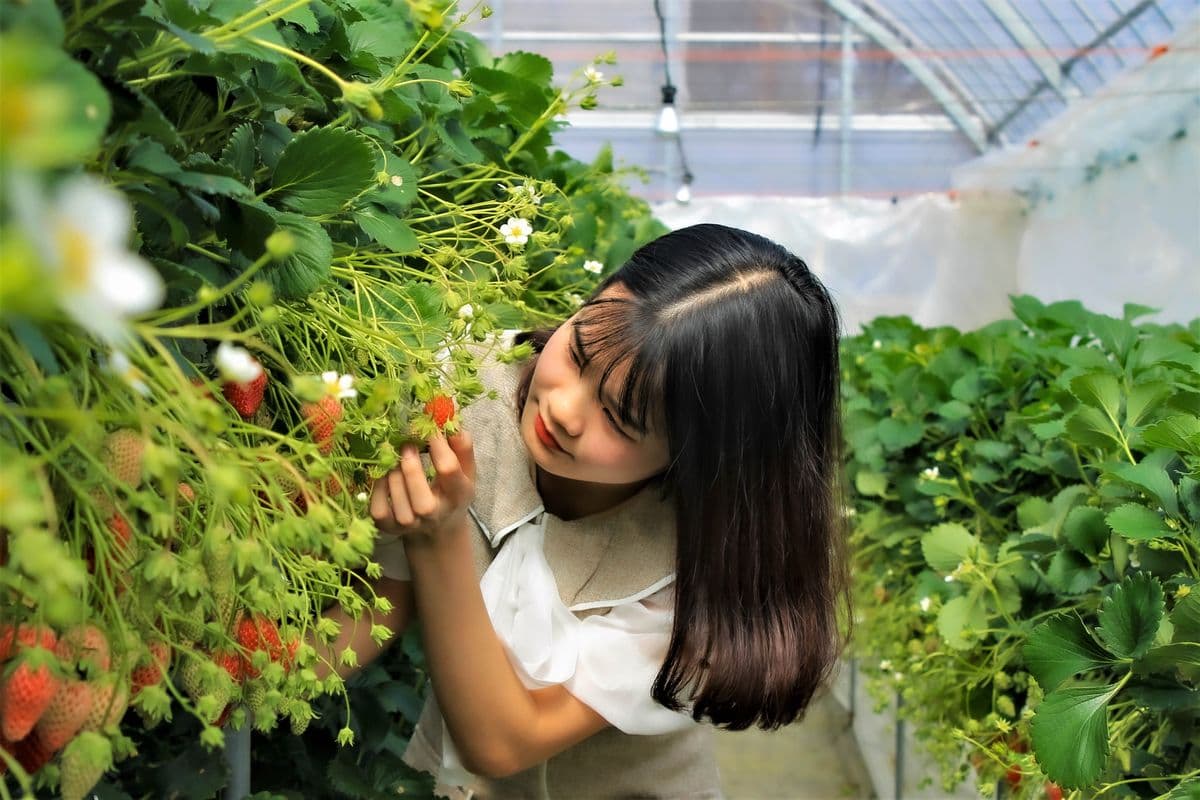 学生・就業希望の方へ